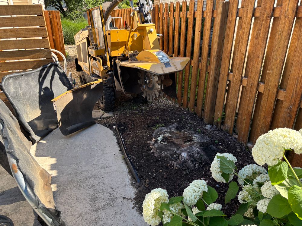 All Photos for Conrad's Stump Removal in Columbus, IN