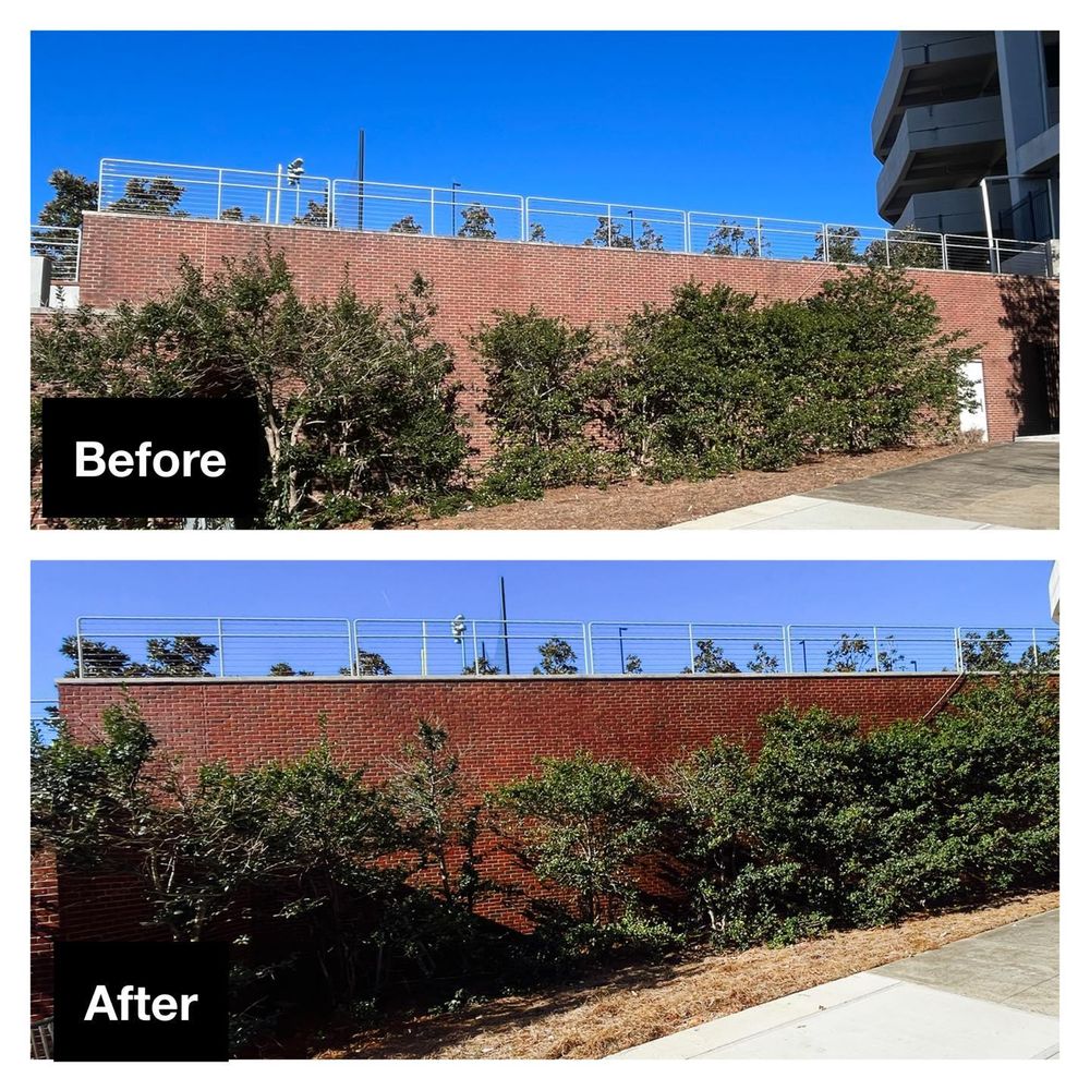 All Photos for Honey Do Oxford Pressure Washing and Soft Washing in Oxford, Mississippi