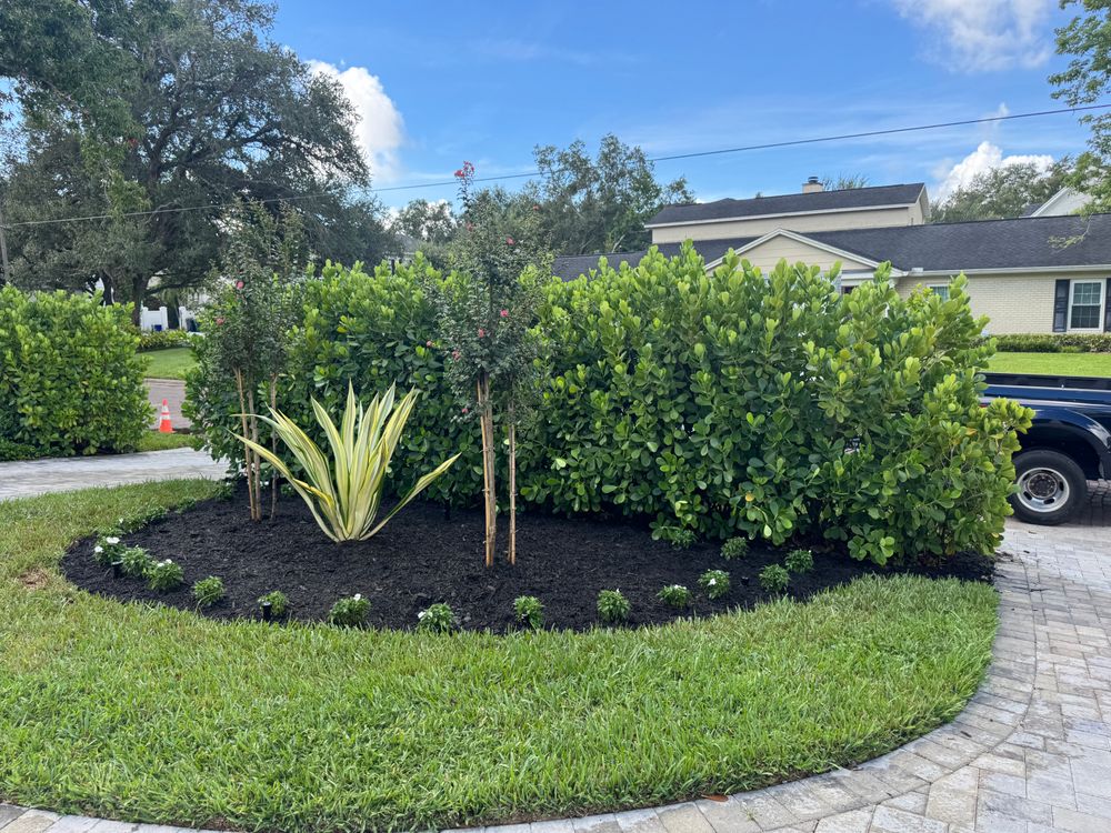 Concrete for Nunez Concrete & Landscape LLC in Tampa Heights, FL