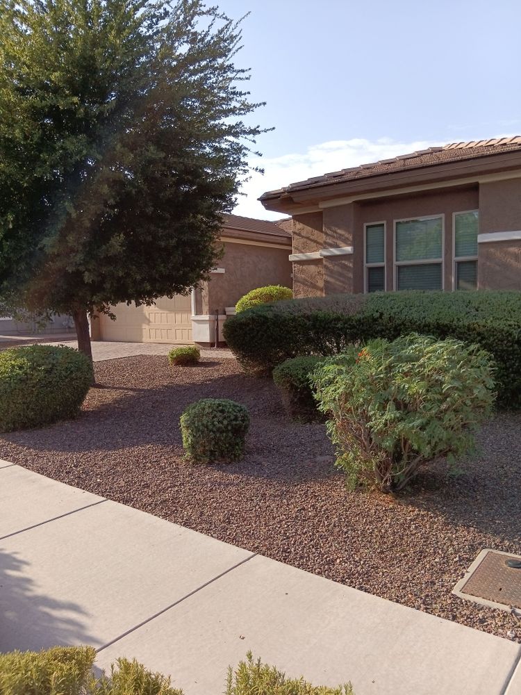 All Photos for Family Landscaping in Phoenix, AZ