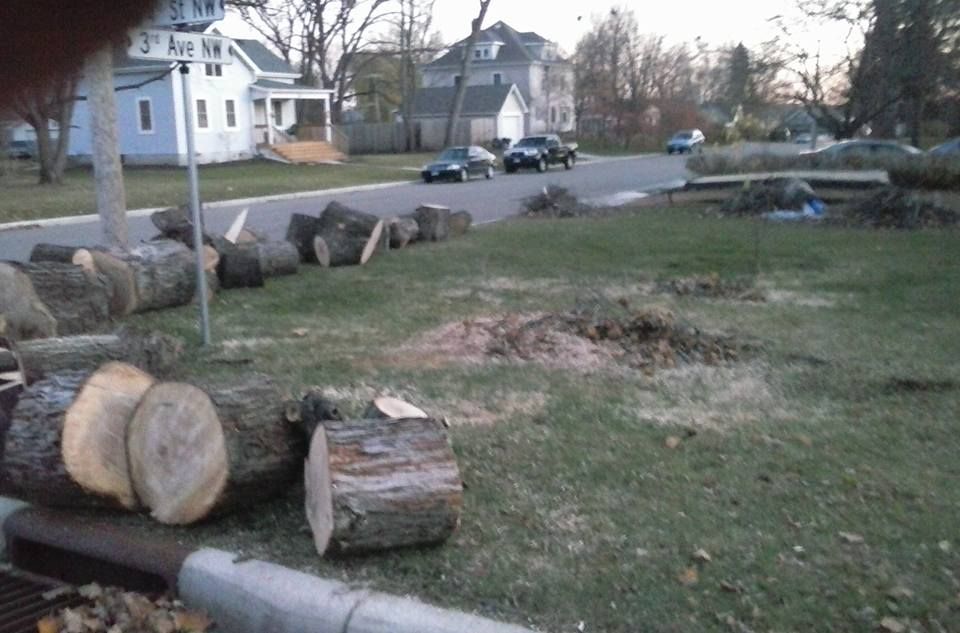 Our stump removal service expertly eliminates unwanted stumps, enhancing your landscape's appearance and preventing pest infestations, promoting healthy lawn growth. Trust our professionals for efficient and thorough stump grinding solutions tailored to your needs. for Buffalo Family Tree Care in Buffalo, MN