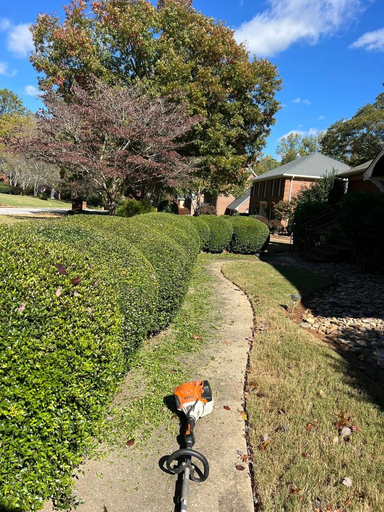 All Photos for Countryside lawn pros in Upstate, SC