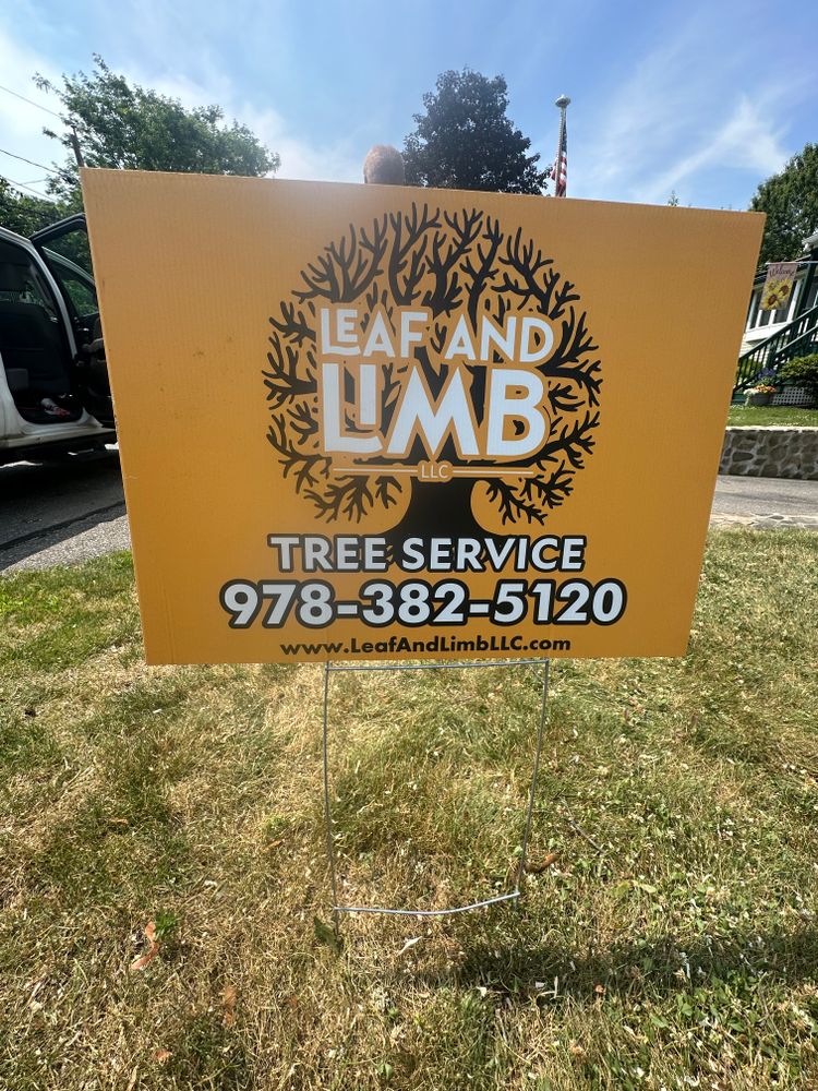 Tree Removal for Leaf and Limb in Townsend, MA