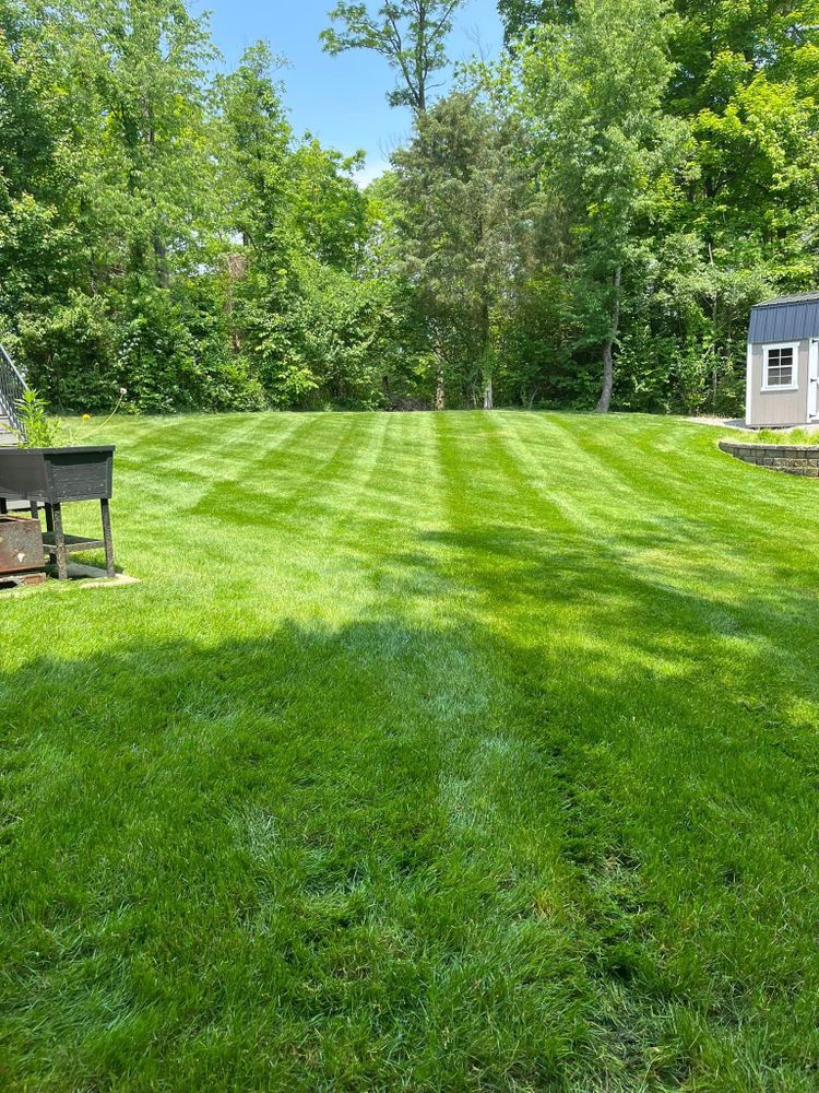 Lawn Care for Cincinnati’s Finest Landscape Services LLC in Cincinnati, OH