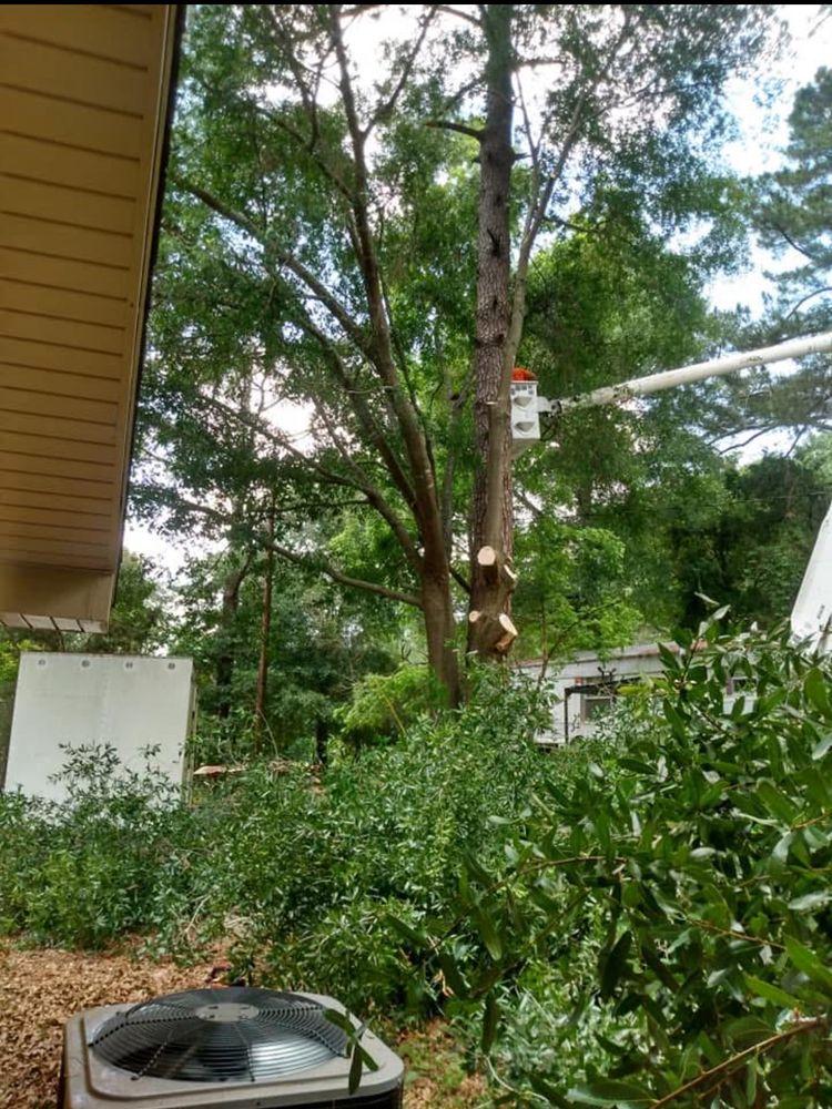 Tree Removal  for ABW Property Professionals in Hope Mills, NC