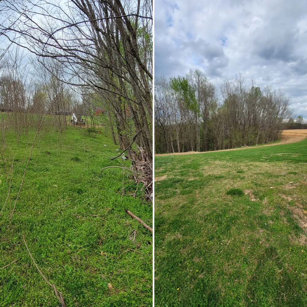 Land Clearing for Z's Land Management & Forestry Mulching in Smithville, TN