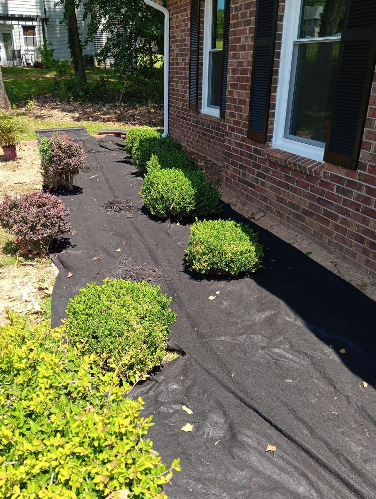 Landscaping for Worsham Landscaping and Pressure Washing LLC in Social Circle, GA