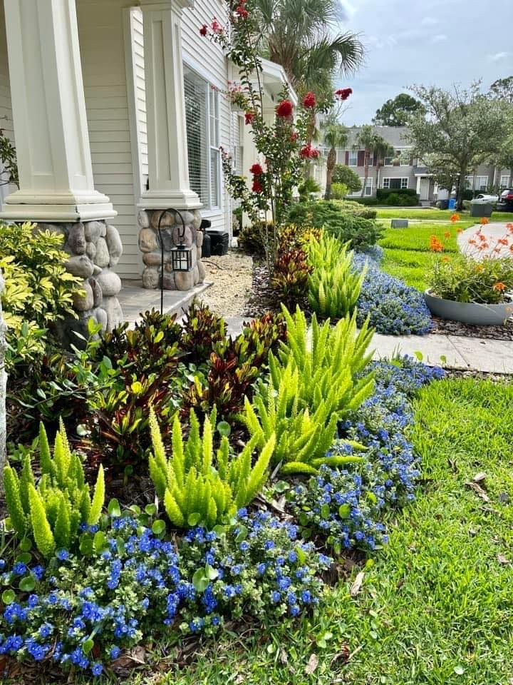 Verimay's Garden and Landscaping team in Hillsborough County, FL - people or person