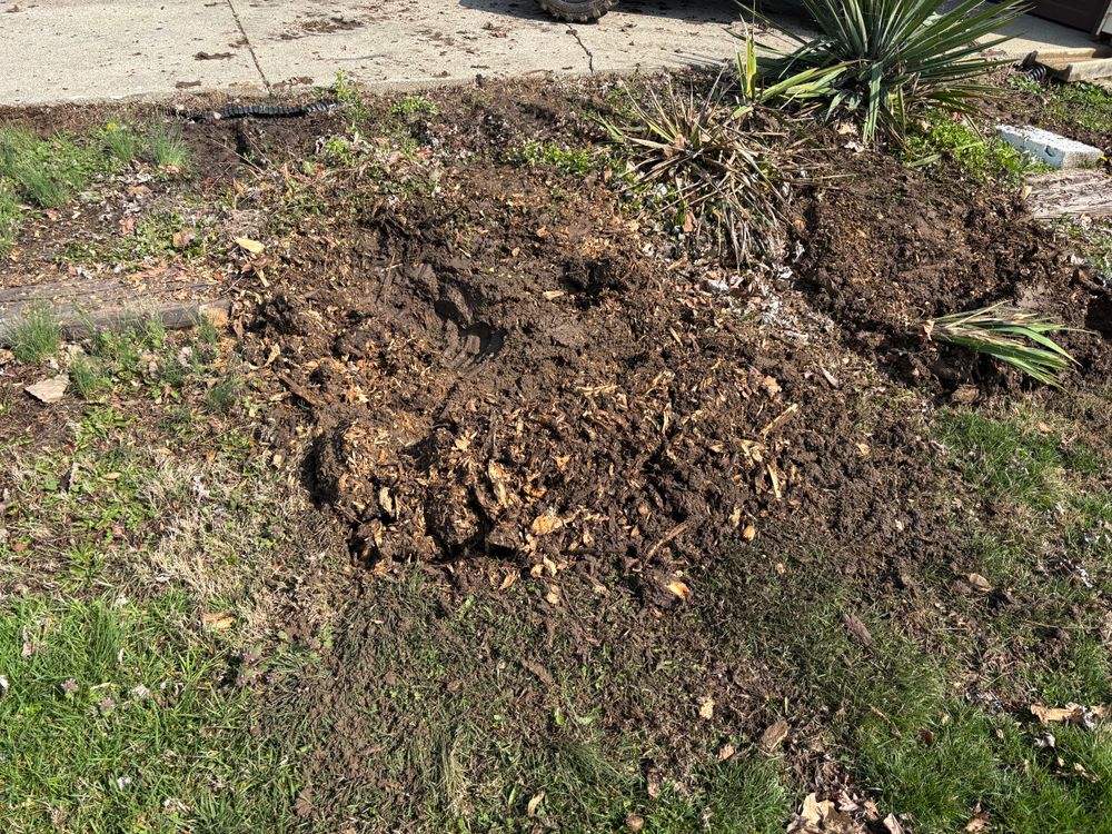 All Photos for Conrad's Stump Removal in Columbus, IN
