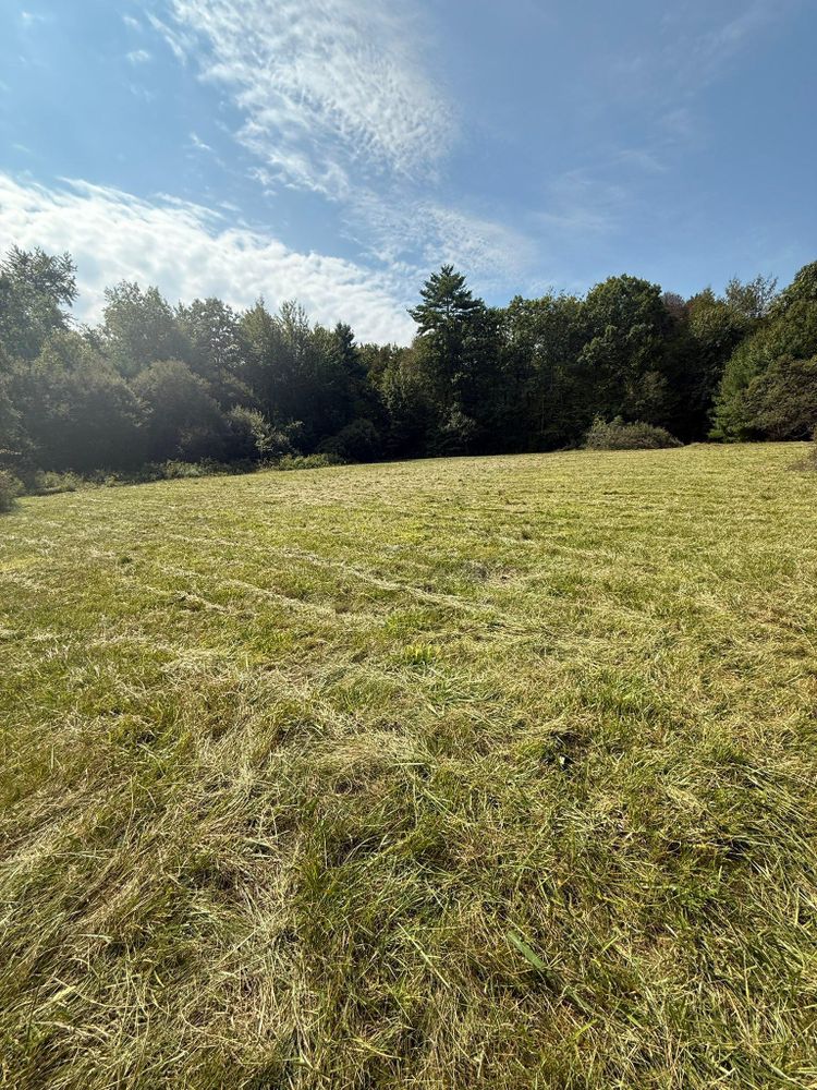 All Photos for Lucas Property Maintenance LLC in New Bedford, MA