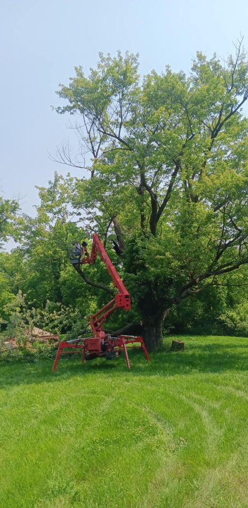 All Photos for Lawn Ranger Yard And Tree Service LLC in Ottumwa, IA