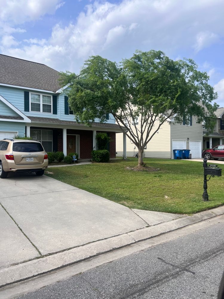 Improve the beauty and health of your landscape with our professional tree trimming service. Enhance curb appeal, promote growth, and prevent potential hazards while ensuring optimal "lawn dethatching" results. for Lawn Rangers in Baton Rouge,  LA