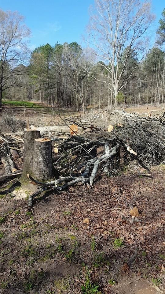 All Photos for Morace Tree Service in Natchez,,  MS