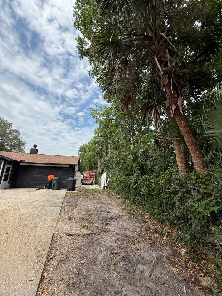All Photos for Daniel Hickey’s Tree Service in DeLand, FL