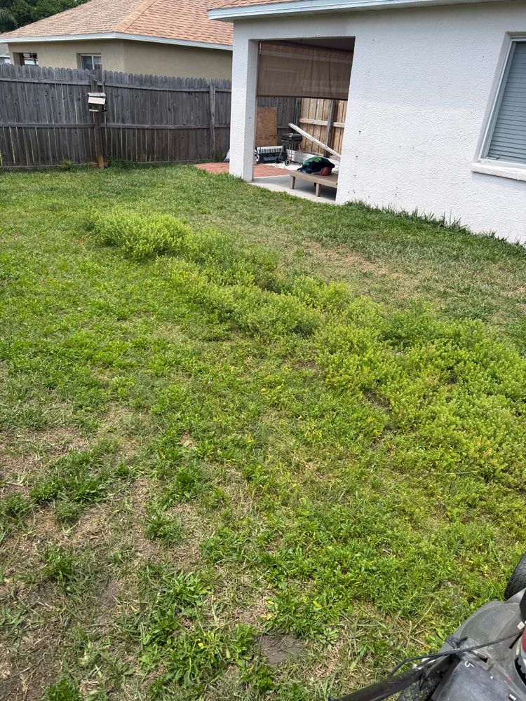 All Photos for The Yardman in Tampa, FL