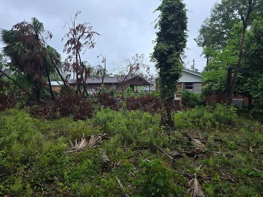 All Photos for Giles Land Management, LLC in Hahira, GA