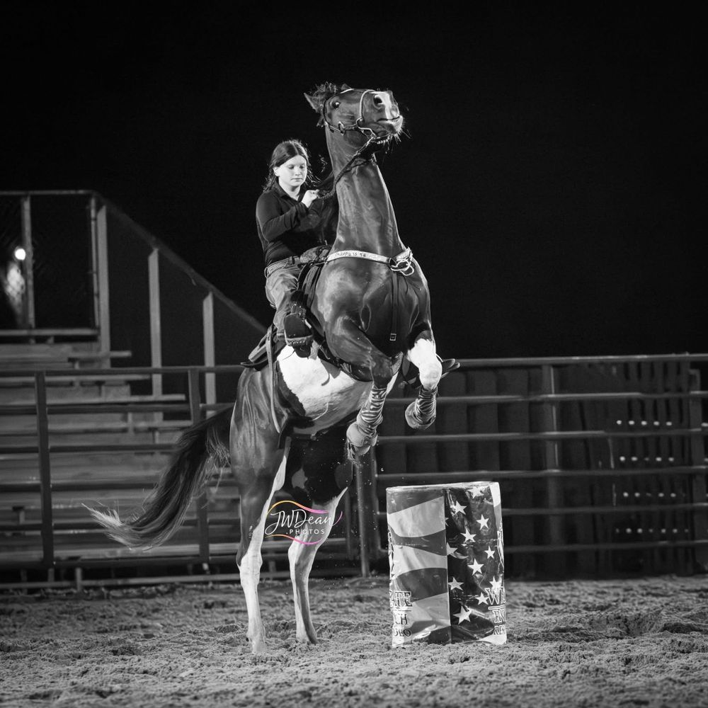 All Photos for Florida Native Equestrian Development in Central Florida, FL