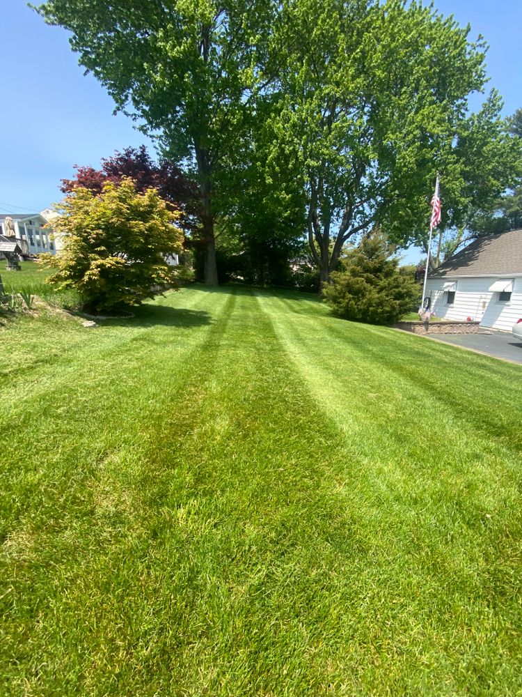 Lawn Maintenance  for Ace Landscaping in Trumbull, CT