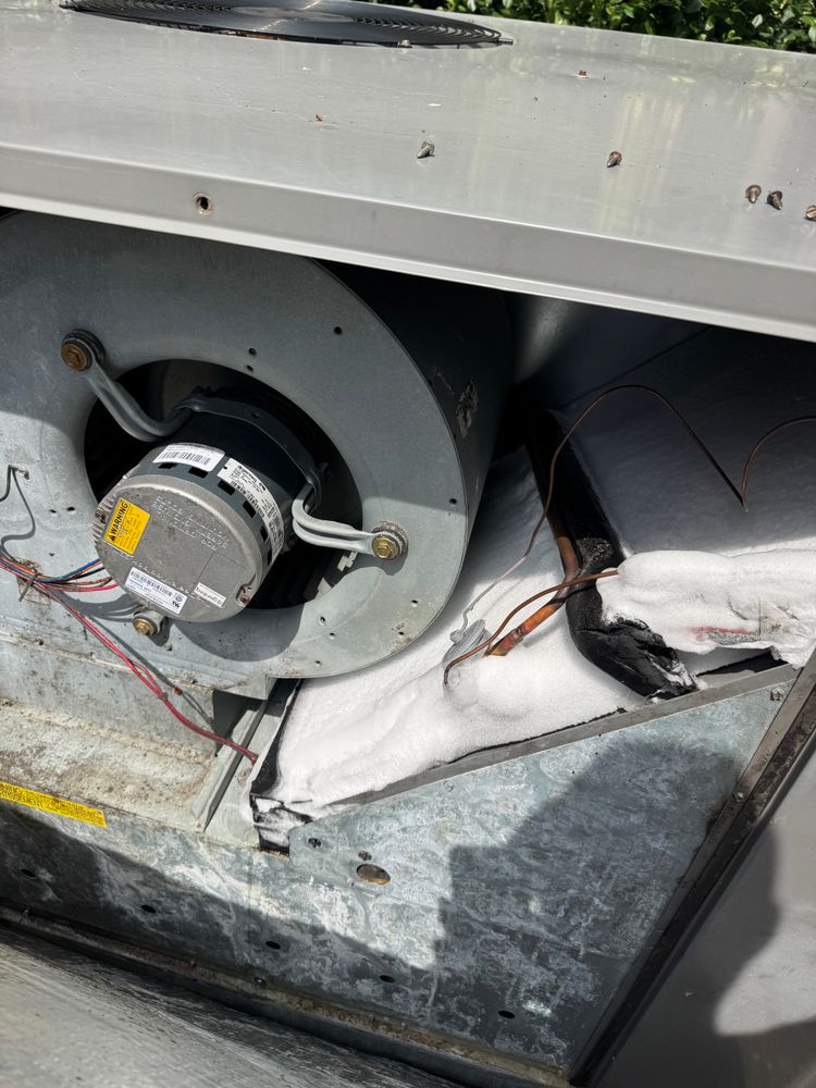 All Photos for College Grove Service Company in College Grove, TN