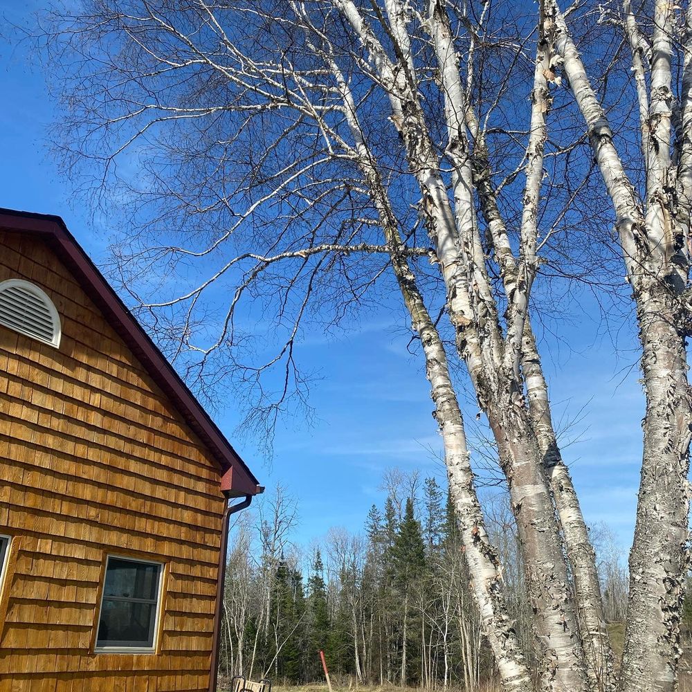 All Photos for Bear Creek Tree Service LLC in Rudyard, MI