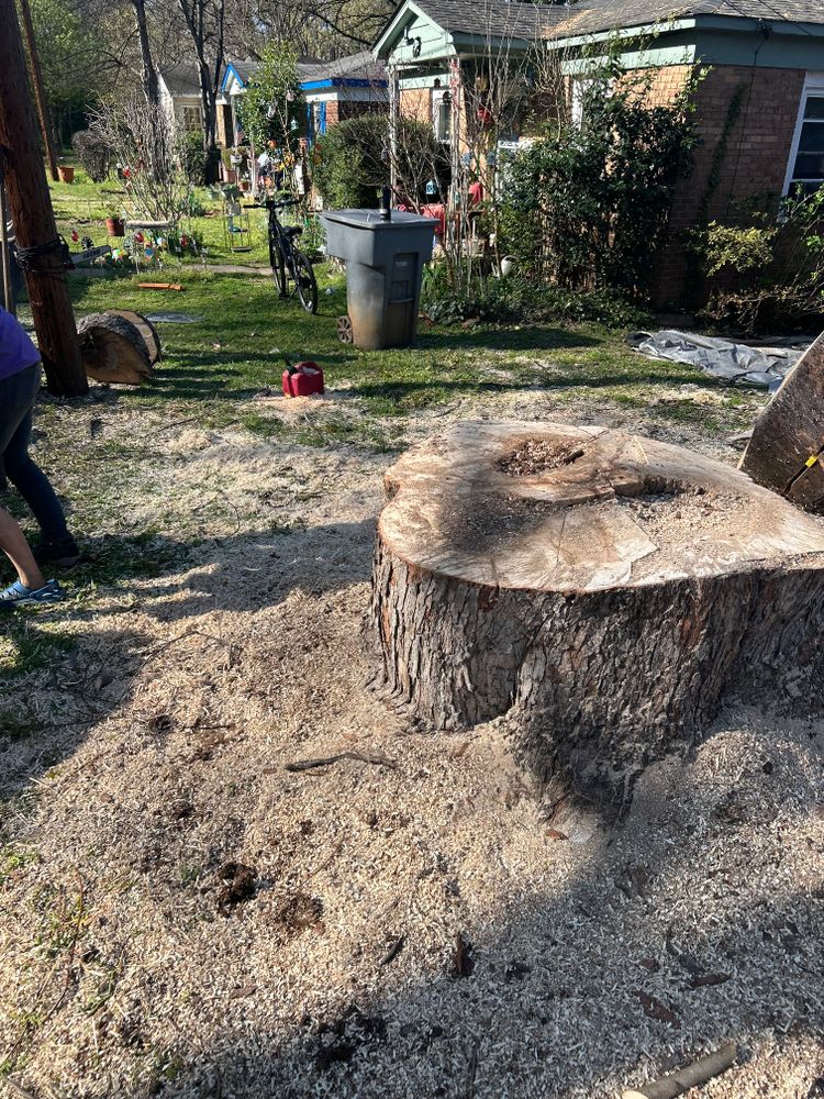 All Photos for Oakhurst Landscaping and Tree Service in Charlotte, NC