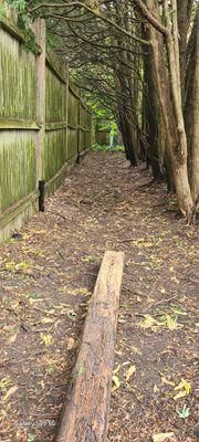 All Photos for Fence Medic in Arlington Heights, IL