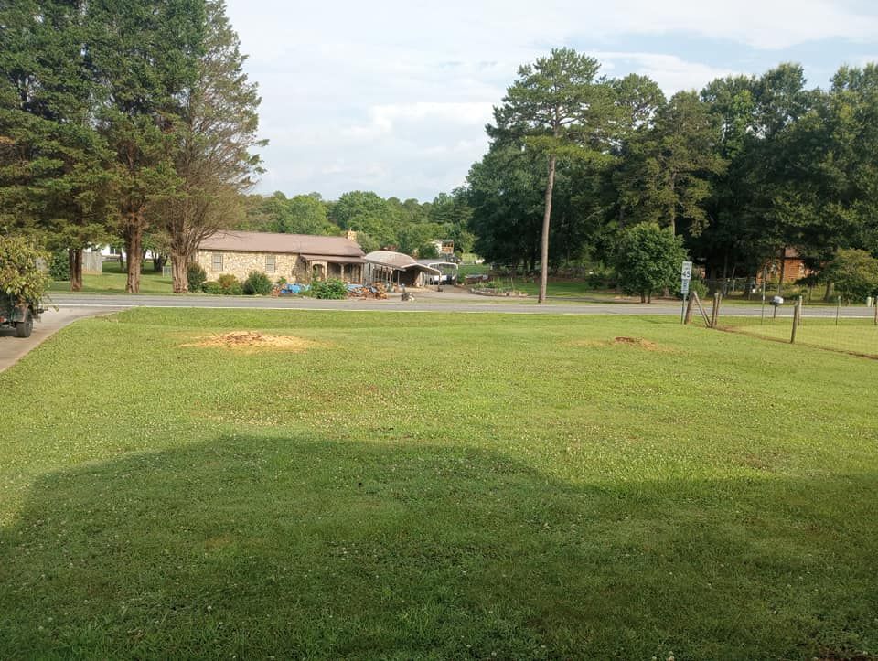 Tree Removal for Backwoods Tree Experts in Hickory, NC