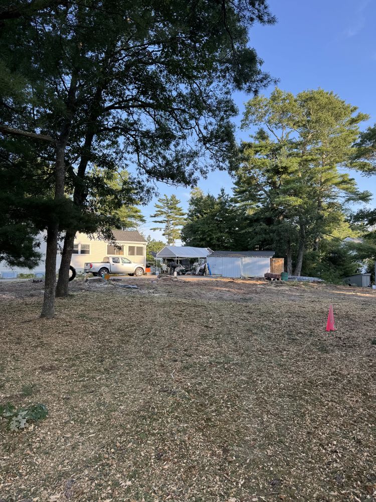 Debris Removal for Robery's Tree Service in West Wareham, MA