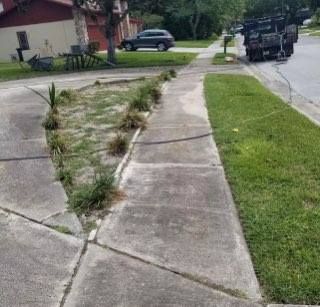 Pressure Washing for AGT Landscape & Design LLC. in Saint Petersburg, FL