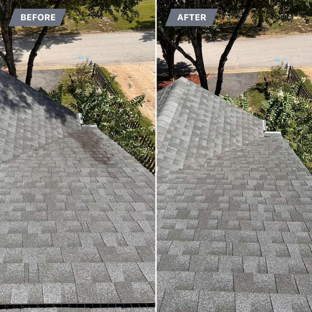 All Photos for LeafTide Solutions in Richmond, VA