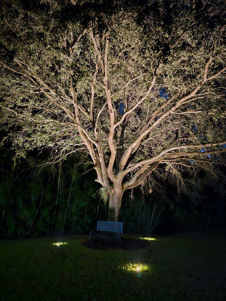 Landscape Lighting for Natural View Landscape, Inc.  in Loxahatchee, FL