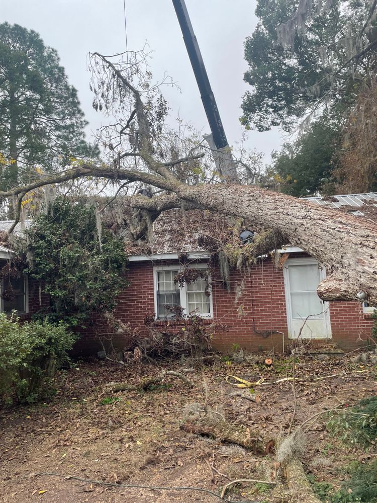 All Photos for Tates Tree Service in Tallahassee, FL