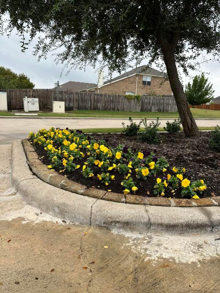 Seasonal color changes for Guerrero's Landscape in Fort Worth,  TX