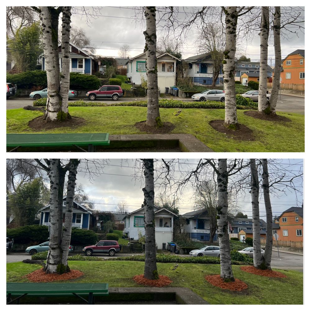 All Photos for Hall of Fame Landscaping in Bremerton, WA