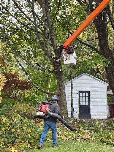 All Photos for Dwights Tree Service in Middleborough, MA