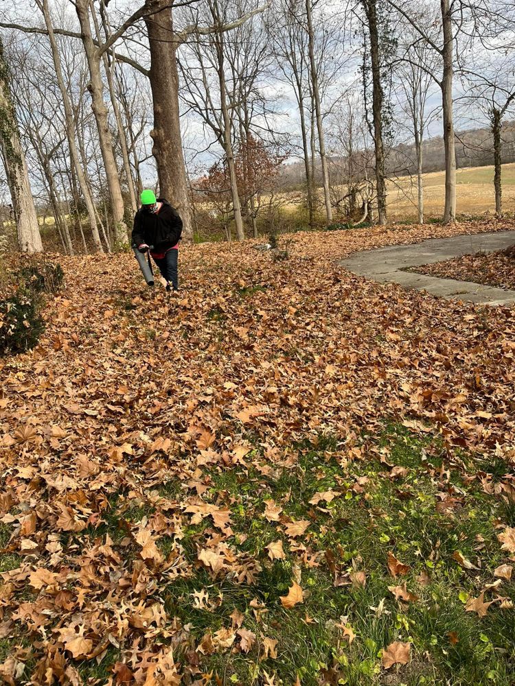 All Photos for Cincinnati’s Finest Landscape Services LLC in Cincinnati, OH