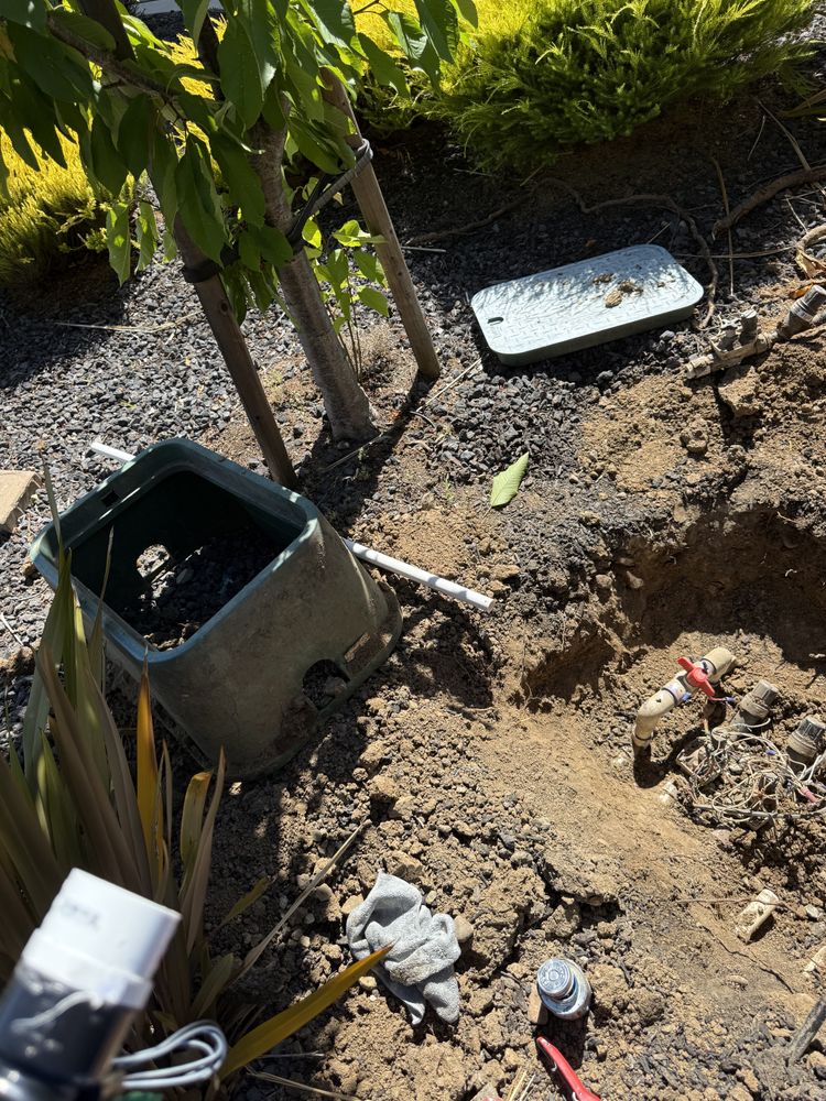 All Photos for CBA Landscaping in Hayward, CA