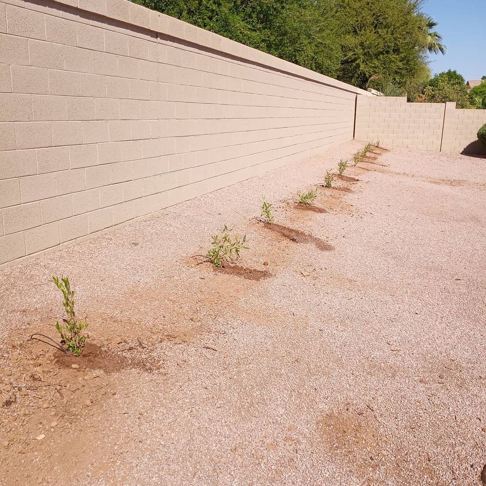 All Photos for CRAJE Landscaping LLC in Mesa, AZ