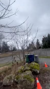 All Photos for Avenscapes NW, LLC in Getchell , WA