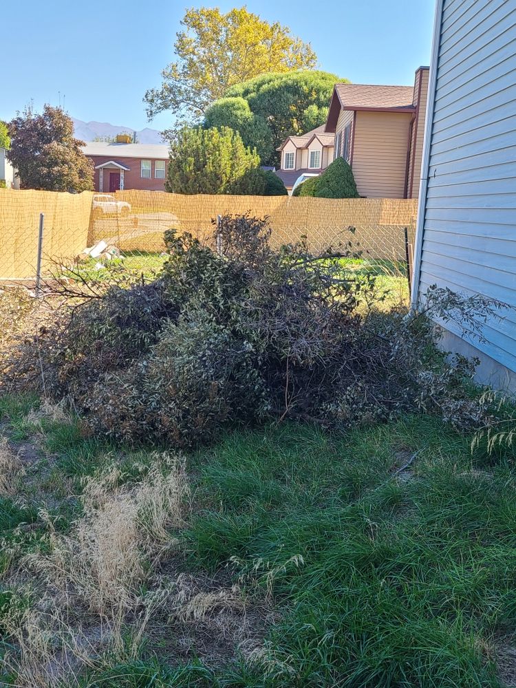 All Photos for Take It Away Dumpster Rentals in Roy, UT