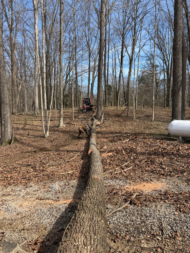 All Photos for Kadin’s Tree Service in North Vernon, IN