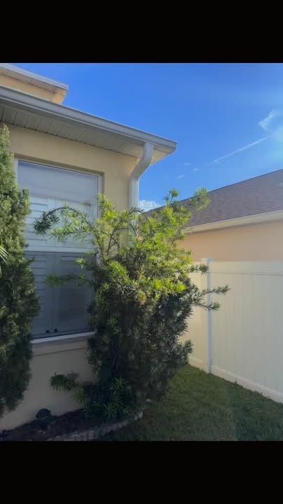 All Photos for The Yardman in Tampa, FL