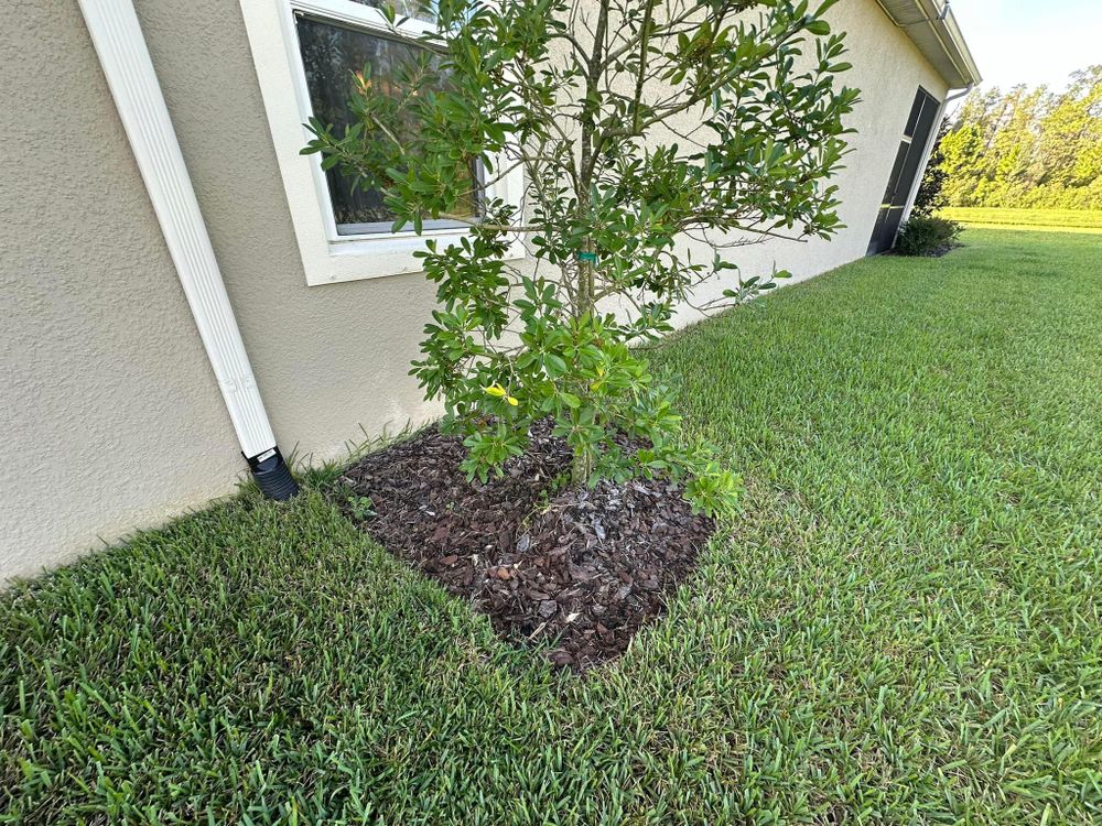 All Photos for Kramer & Son’s Property Maintenance in Hudson, FL