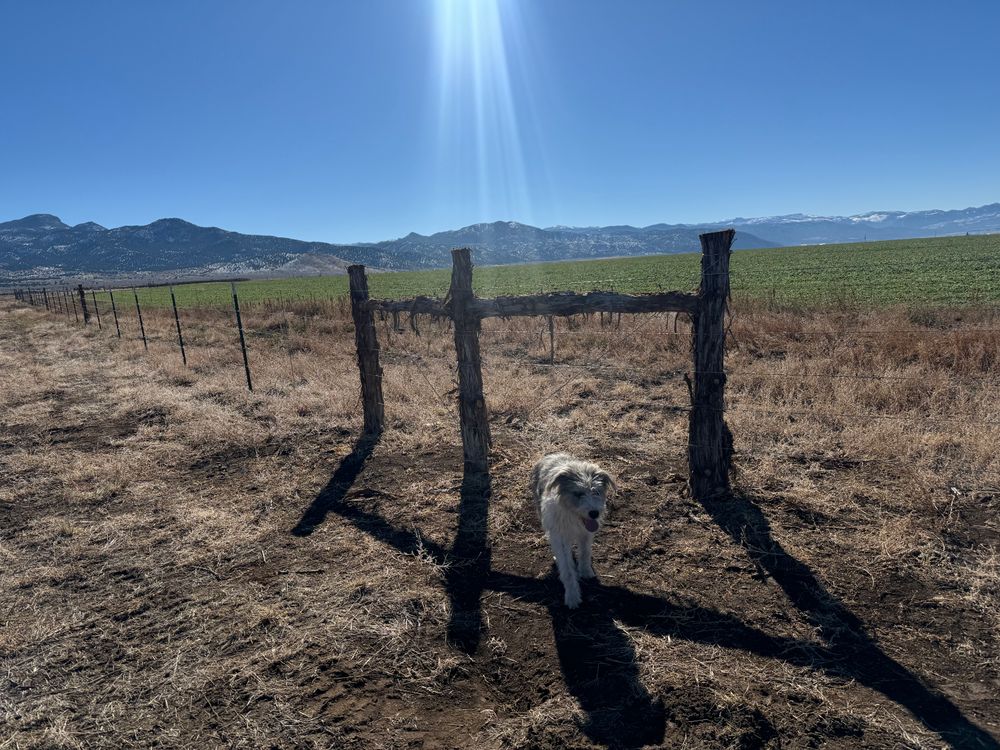 All Photos for Burton Fencing in Parowan, UT