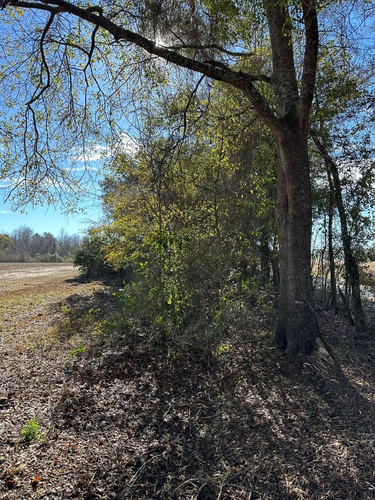 All Photos for White’s Land Maintenance in Milton,, FL
