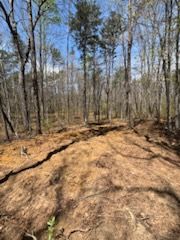 All Photos for TD Dirtworks in Tracy City, TN