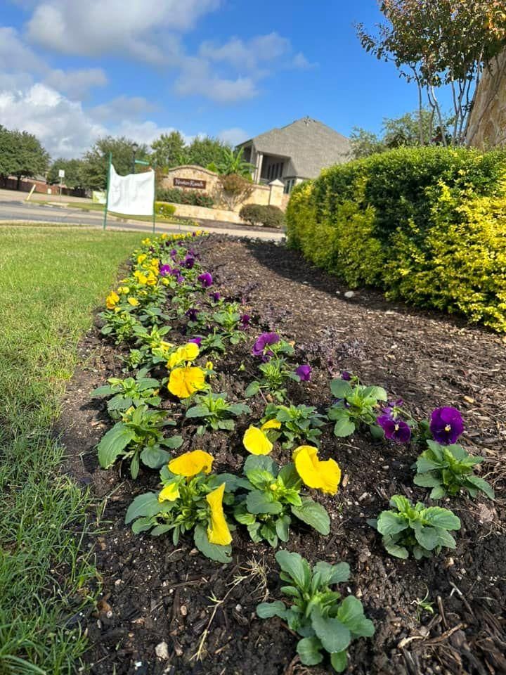 Seasonal color changes for Guerrero's Landscape in Fort Worth,  TX