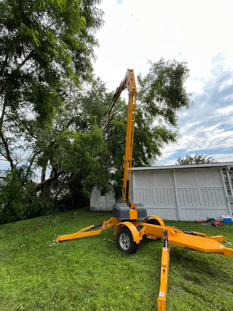 All Photos for Licensed to Cut Tree Service in Athens, PA