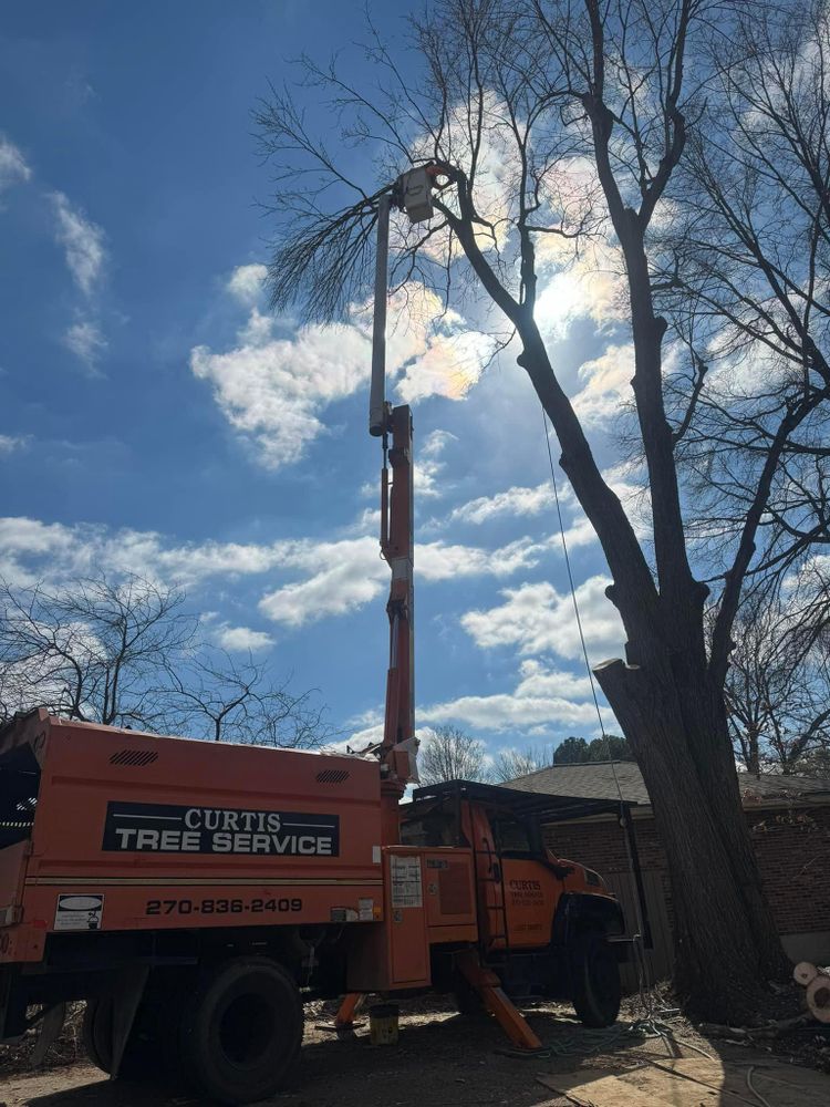 All Photos for Curtis Tree Service LLC in Hopkins County, KY
