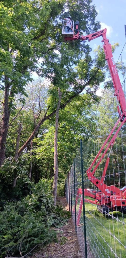 All Photos for Lawn Ranger Yard And Tree Service LLC in Ottumwa, IA